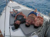 This is a picture from the snorkel tour operating from the sailboat Survivan on St John
